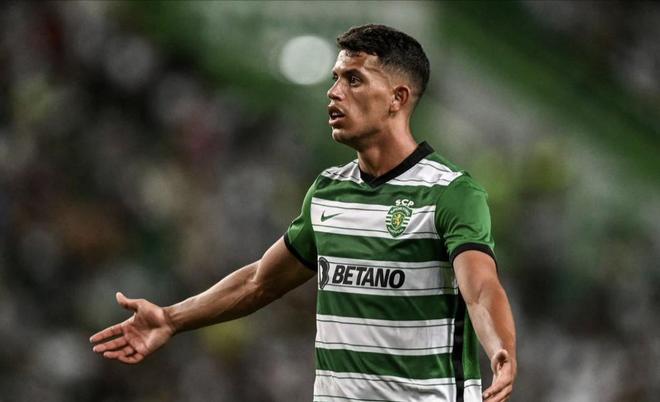 攻击力的球 攻击力的球