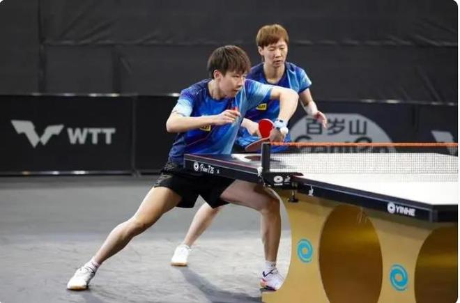 他们敏捷的 他们敏捷的